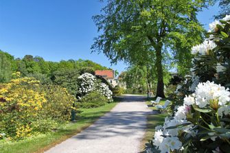 Rhododendronpark Graal-Müritz Ostsee